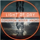 Light Of Day - Tomorrow Never Knows