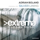 Adrian Boland - Silver Lining