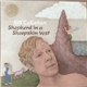 Bill Callahan - Shepherd In A Sheepskin Vest