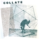 Collate - Communication b​/​w Selective Memory