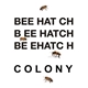 Beehatch - Colony